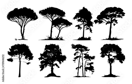 Trees set silhouette. Coniferous forest. Isolated tree on white background. Graphic trees elements  Architecture and Landscape Design  Vector Illustration of Green Tree Elements  for Drawing Natural