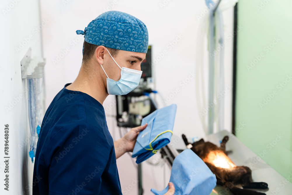 Veterinarian preparing for operation. Veterinarian preparing for operation.