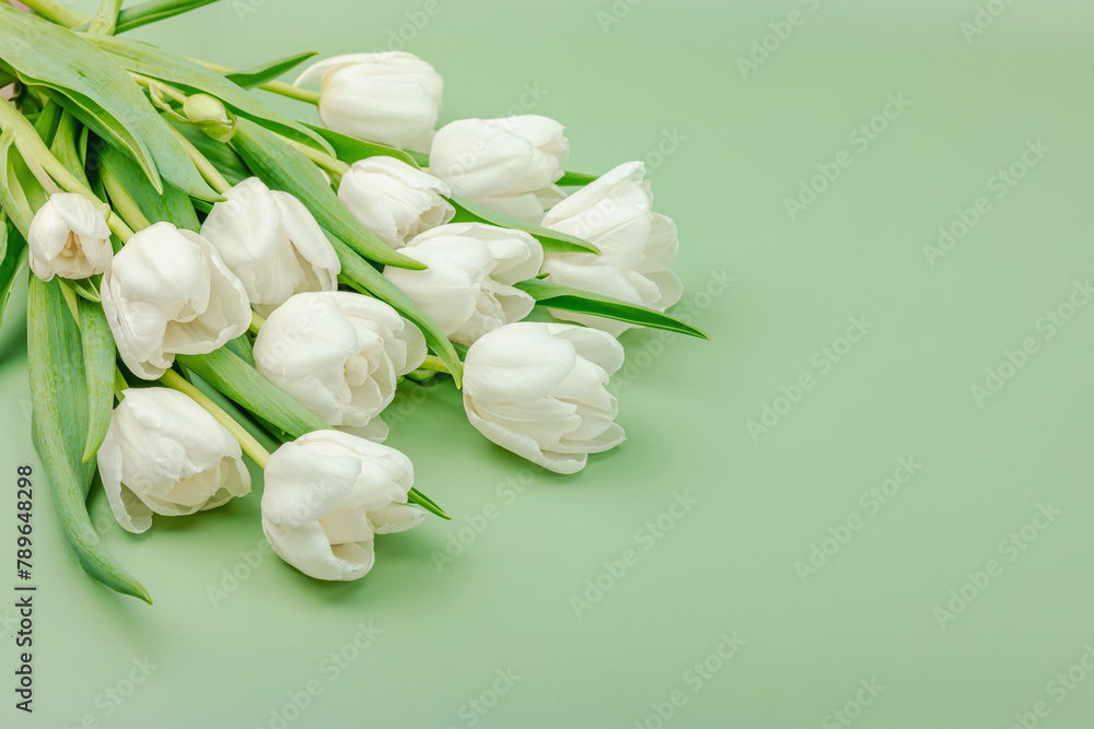 Fototapeta premium A bouquet of white tulips on a pastel green background. Blooming flowers, festive concept