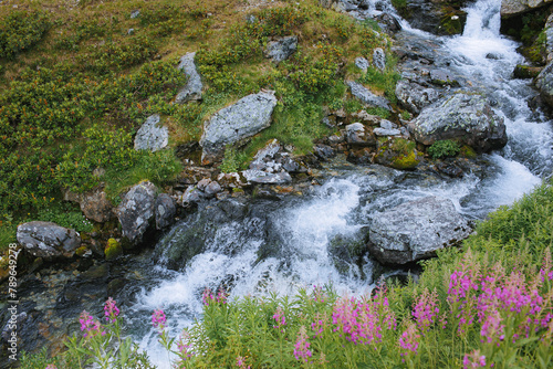 mountain river stream through the rocks landscape