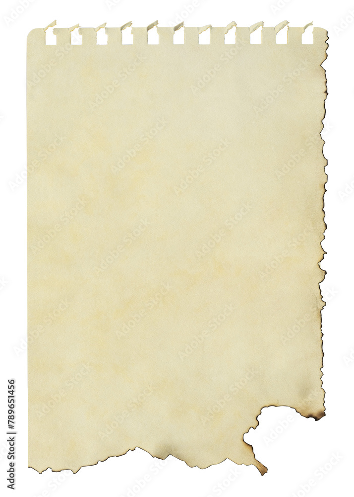 Ripped note png paper, brown blank design space on transparent background
