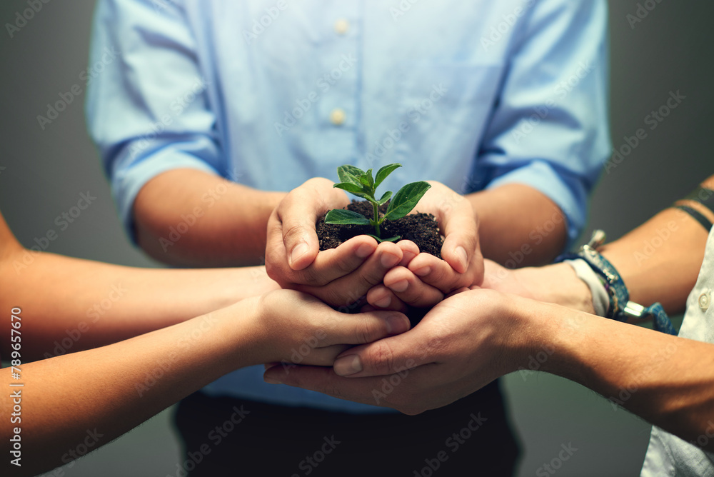 Group, hands and nature of plant, growth and team with support, sustainability and leaves with soil. Collaboration, carbon capture and community of business people, palms and development in company