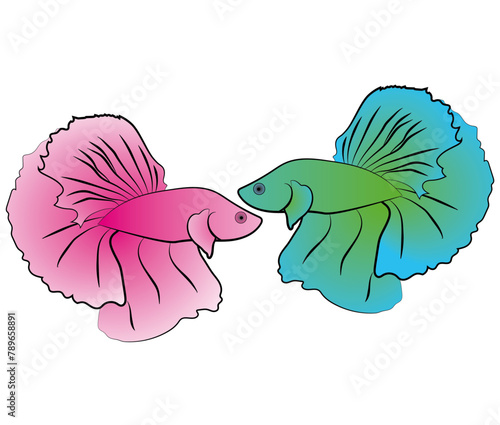 Beta Fish