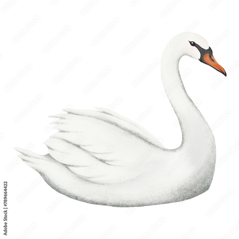 Fototapeta premium Mute swan png sticker, simple illustration, transparent background