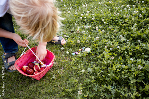 eggs hunt photo