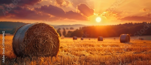 hay bales on field when sunset beautiful view photo