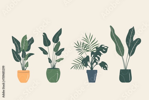 Stylish and minimalist indoor potted plant collection for modern home staging and interior design with botanical art illustrations and trendy greenery decorations