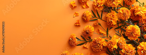 Wallpaper Mural Orange marigolds border a frame on an orange background with copy space. in a flat lay top view Torontodigital.ca