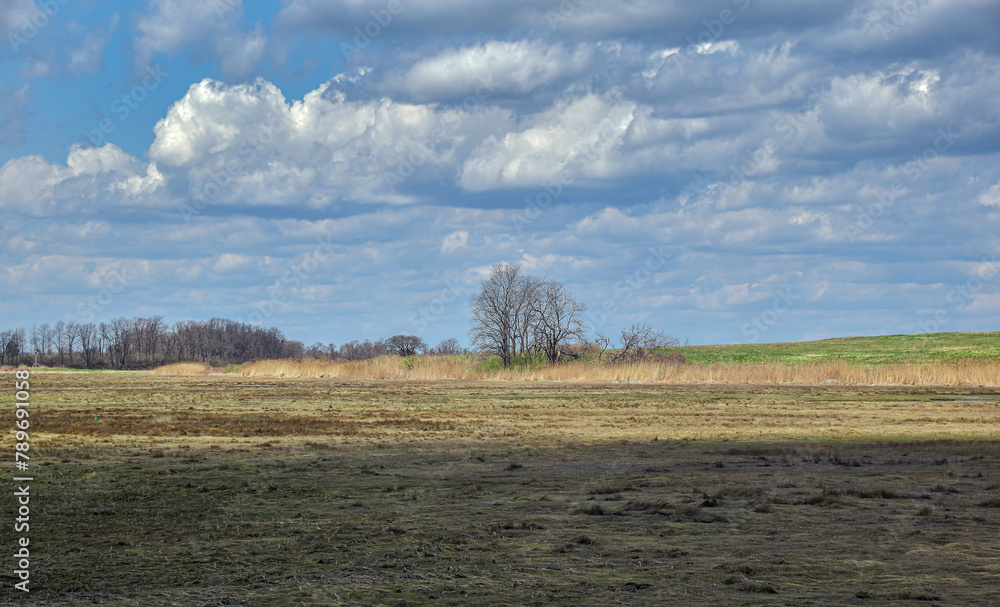the vast landscape of parkler river the vast landscape of parkler river