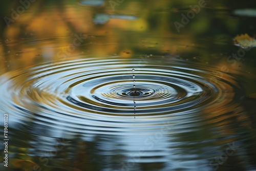   A solitary droplet impacting the surface of a still pond.