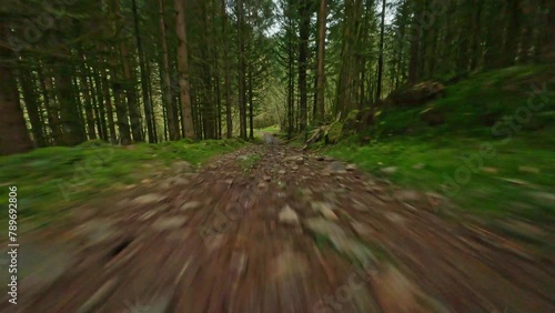fpv drone flying fast and low over forest path and pine trees the forest and bridge in cascade de Mieillin servance Vosges