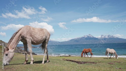 Ushuaia, Tierra del Fuego, Patagonia, Argentina - april 12, 2024 Avenue San Martin