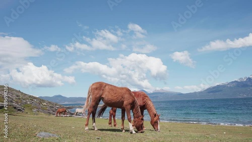 Ushuaia, Tierra del Fuego, Patagonia, Argentina - april 12, 2024 Avenue San Martin