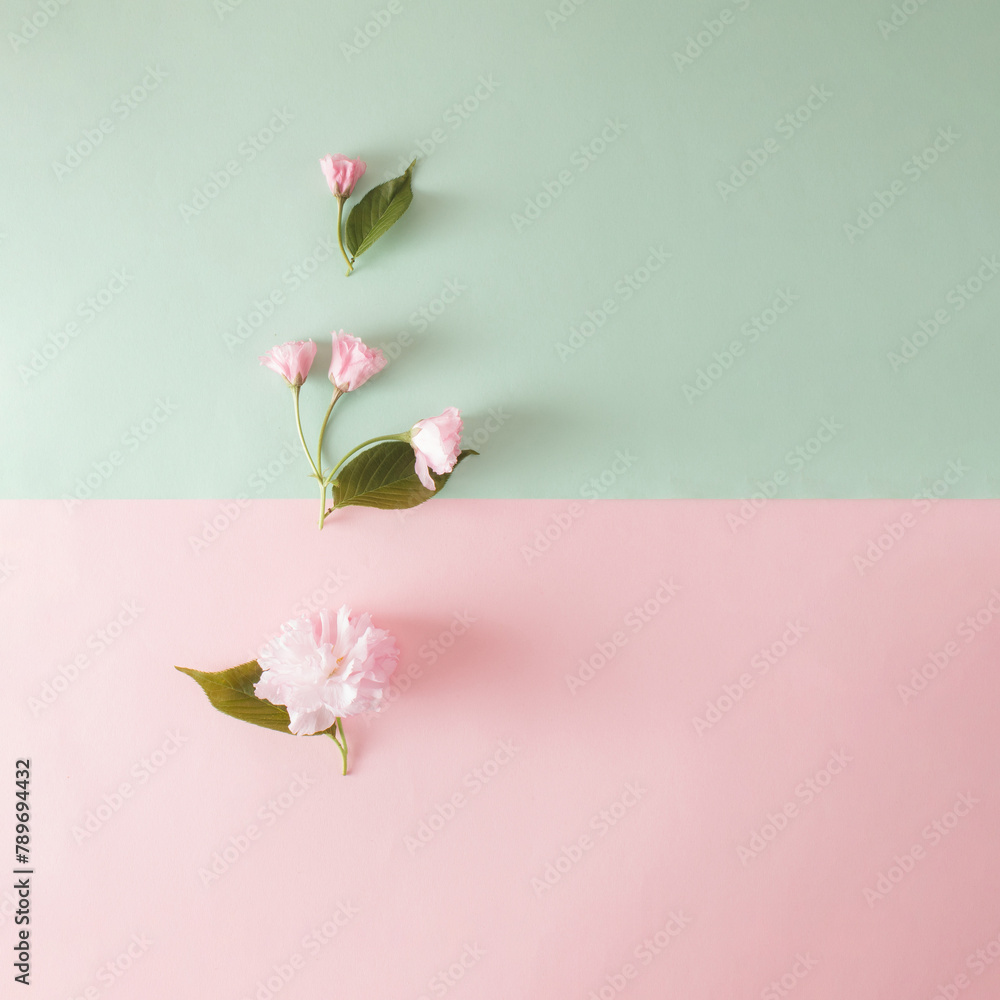 Fototapeta premium Creative layout made with pink flowers and leaves on pastel mint and pink background. Flat lay. Spring minimal concept.
