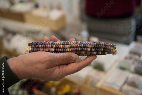 Seeds protected by outer covering photo