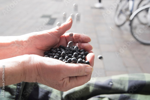 Seeds protected by outer covering photo