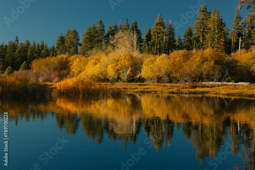 Fall Foliage in Lassen National Park, California