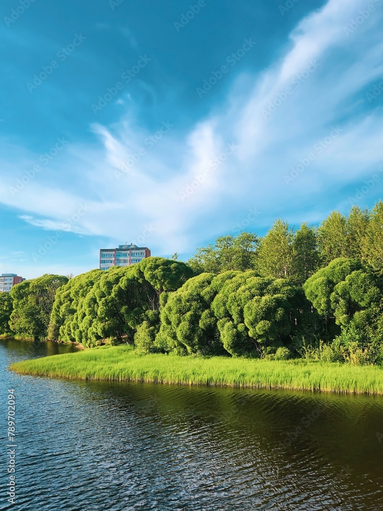 Sunny Summer Day with Lush Green Trees, Blue Sky, White Clouds Over River in the Park. High-Quality Landscape Photo Capturing the Beauty of Nature and Serenity in the Outdoors.