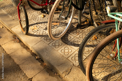 Bicycle wheels on a sunny day  photo