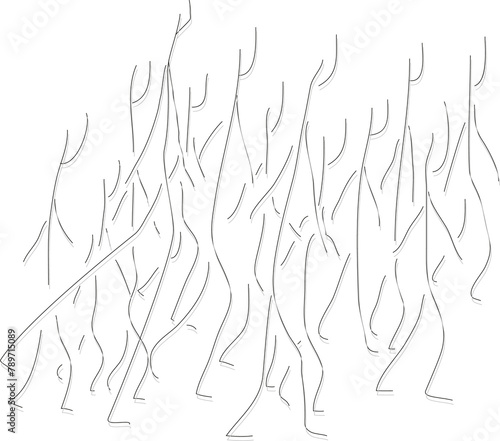 Fototapeta Naklejka Na Ścianę i Meble -  abstract random line figures illustration