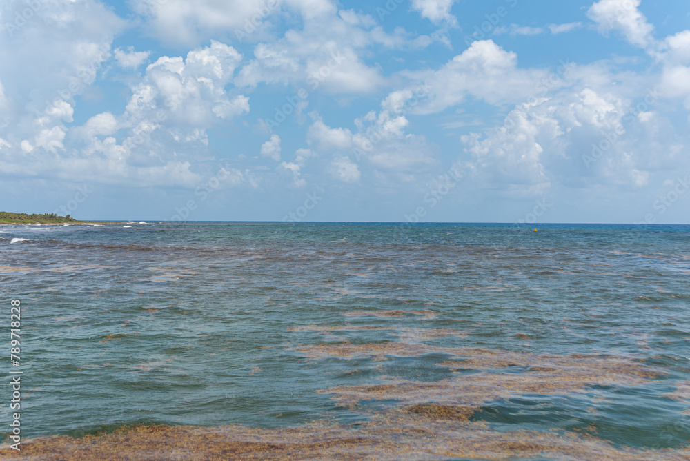 Beautiful tropical beach on a sunny day Beautiful tropical beach on a sunny day