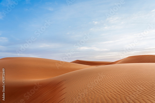 Wahiba Sands desert dunes in Oman photo