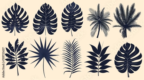 The tropical leaves modern collection is a set of monochromatic silhouettes with philodendron, palm, areca palm, royal fern, banana leaf, isolated on white.