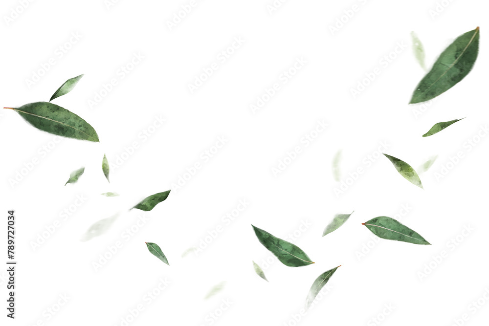 Floating leaves png, nature border collage element, transparent background Floating leaves png, nature border collage element, transparent background