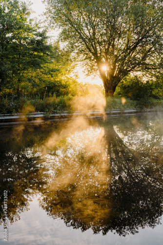 Sunrise beaming through mist on the Lancaster Canal