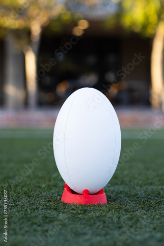A rugby ball standing on red tee on green grass, on field outdoors, copy space