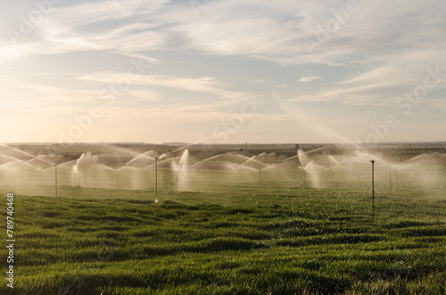 Irrigation photo