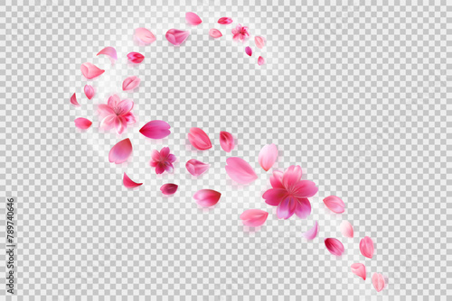 flying sakura petals. Flower decoration on transparent background.