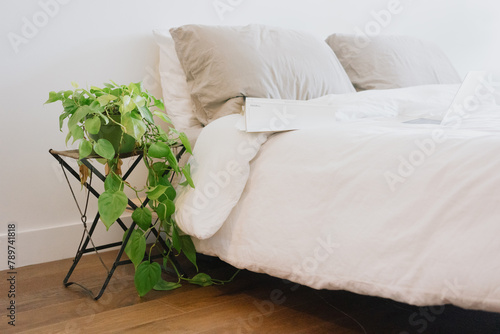 Minimal bed in loft with white walls and a calm bed with plant