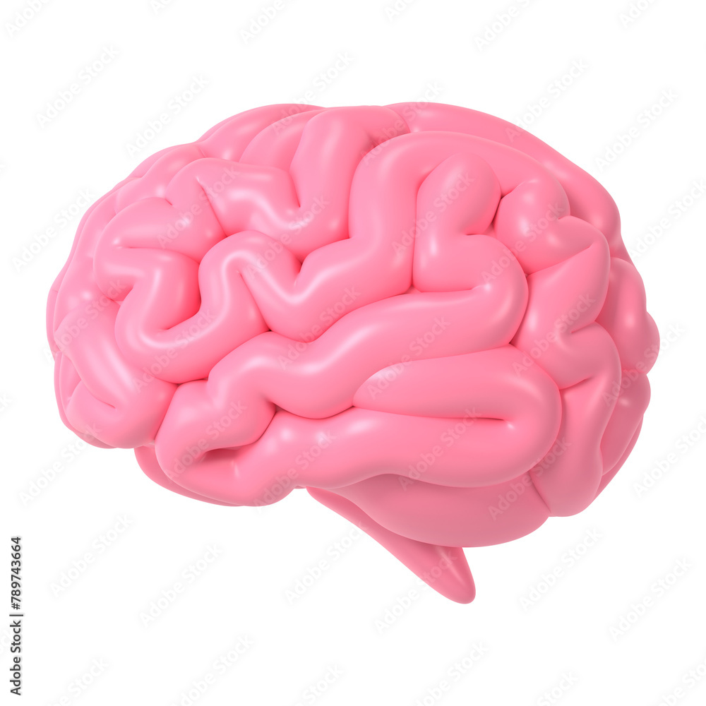 Human brain png icon sticker, 3D rendering, transparent background Human brain png icon sticker, 3D rendering, transparent background