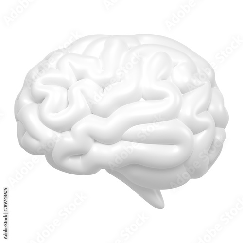 White brain png icon sticker, 3D rendering, transparent background