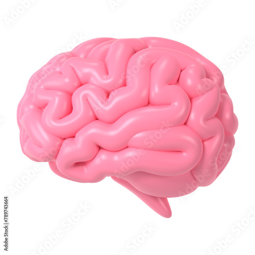 Human brain png icon sticker, 3D rendering, transparent background
