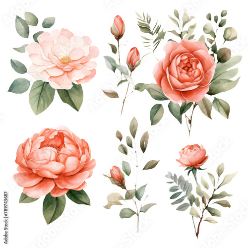 A collection of beautifully hand-painted watercolor flowers