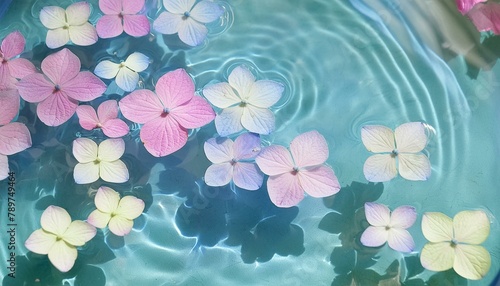 水面に浮かぶ紫陽花の花びら