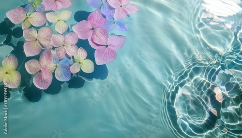 水面に浮かぶ紫陽花の花びら