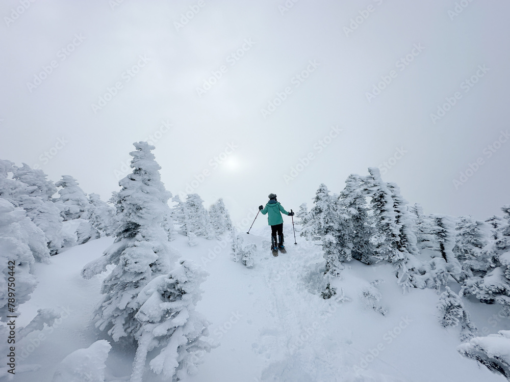 UGC of person hiking in frozen landscape in White Mountains NH UGC of person hiking in frozen landscape in White Mountains NH