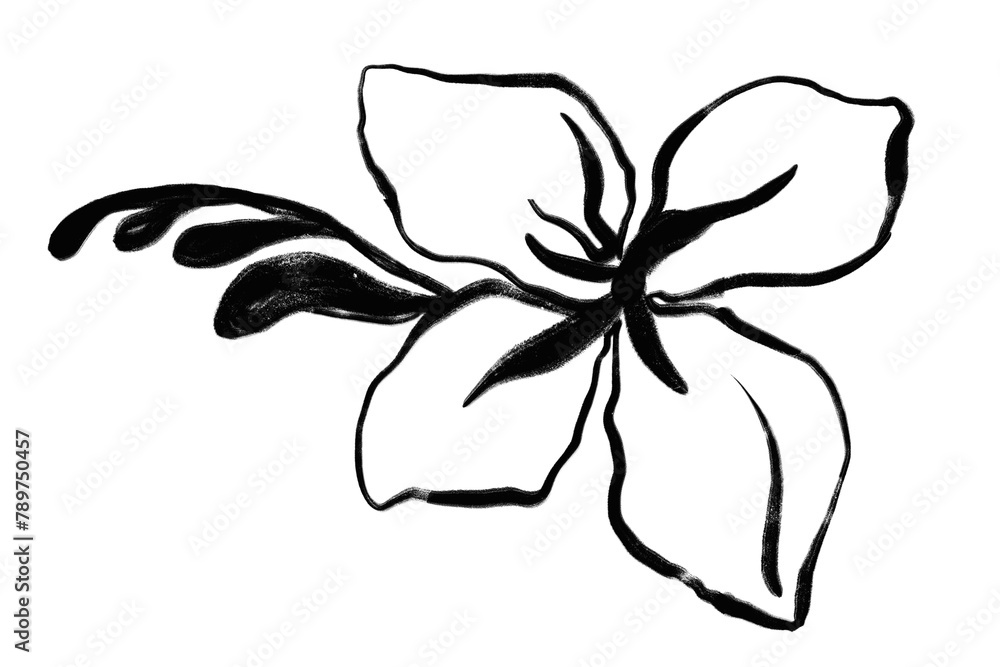 Hibiscus png ink brush sticker, flower transparent background Hibiscus png ink brush sticker, flower transparent background