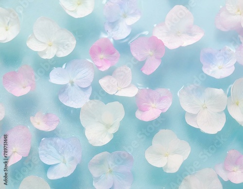 水面に浮かぶ紫陽花の花びら