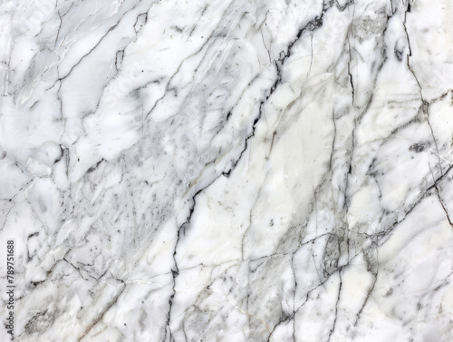 Detailed White Carrara Marble Texture