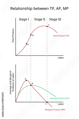 Theory of Production for Total Product, Average Product, Marginal Product