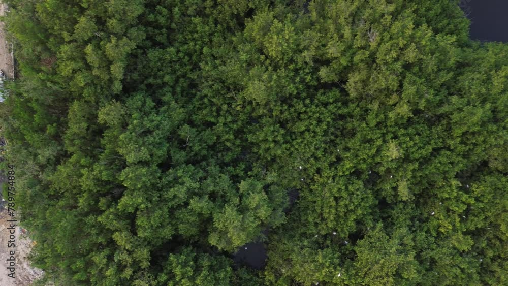 Aerial View of Environmental Crisis in jungle - Showing Garbage Dump, Pollution Aerial View of Environmental Crisis in jungle - Showing Garbage Dump, Pollution