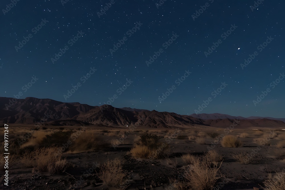 Night desert under a starry sky