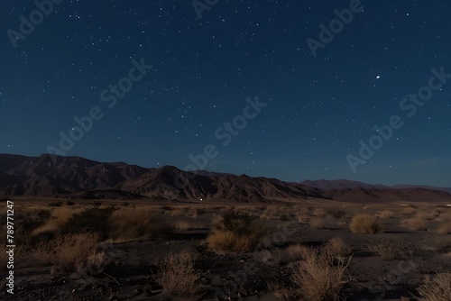 Night desert under a starry sky