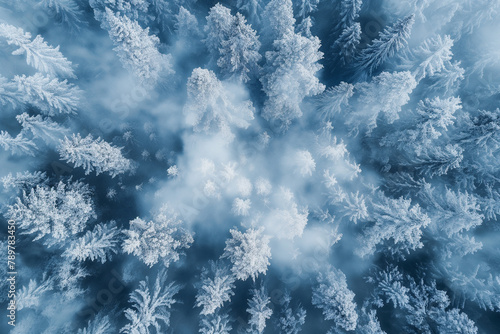 Winter Wonderland: Frost-Coated Trees from an Aerial Perspective © Darya