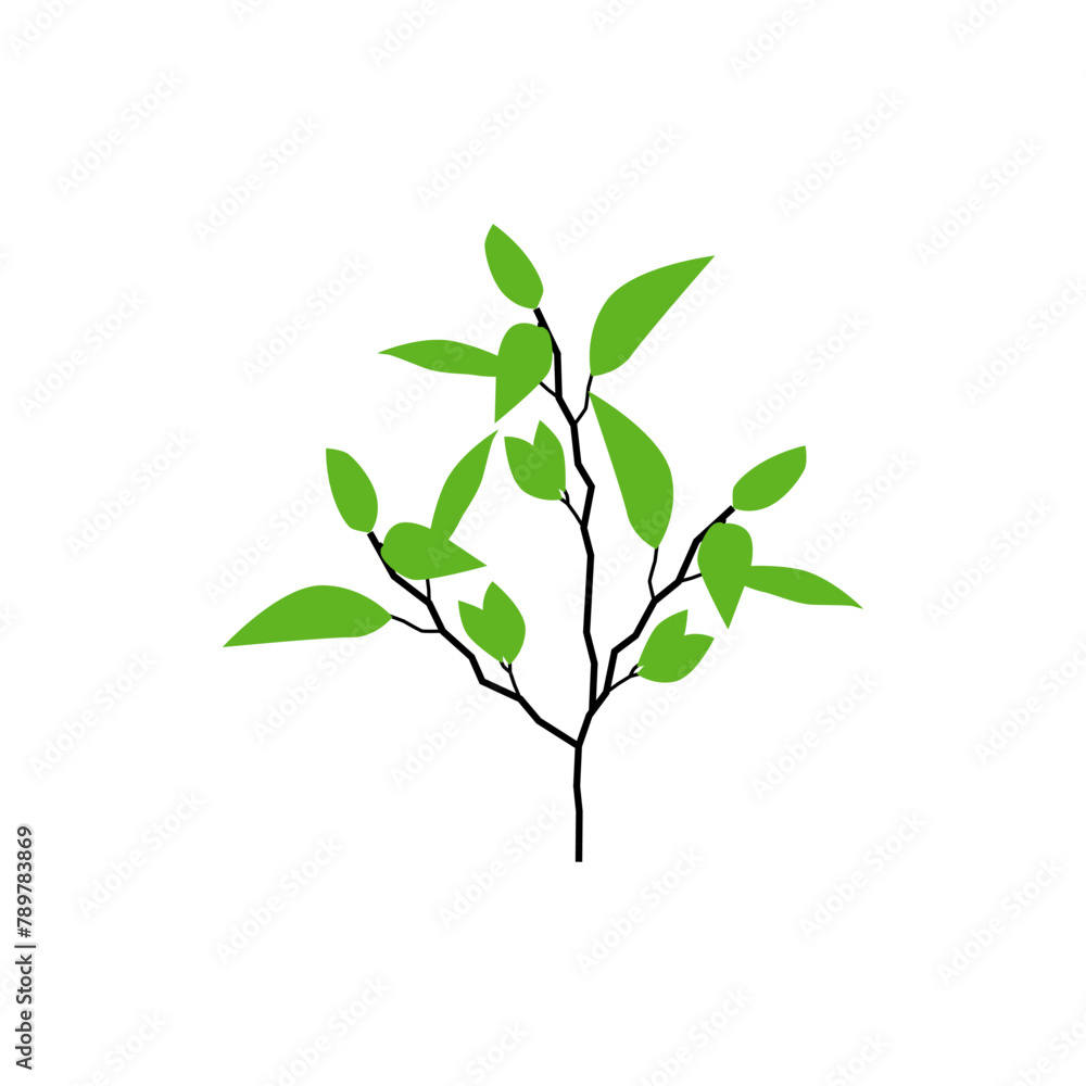 longan tree vector isolated, tree in the yard. longan tree vector isolated, tree in the yard.