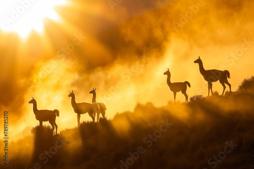 Guanacos stand elegantly against a dramatic sunset, with rays piercing through a misty haze over the wild grasslands. © Darya
